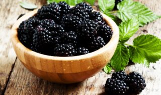 Brombeeren – Schmerzlindernd, Entzündungshemmend und Antibakteriell